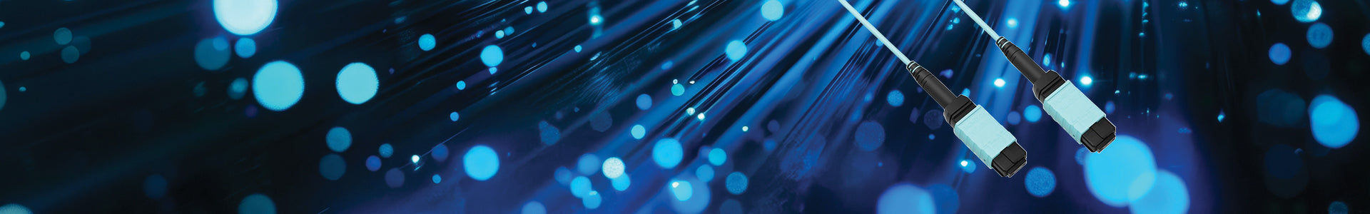 MTP/MPO Cables