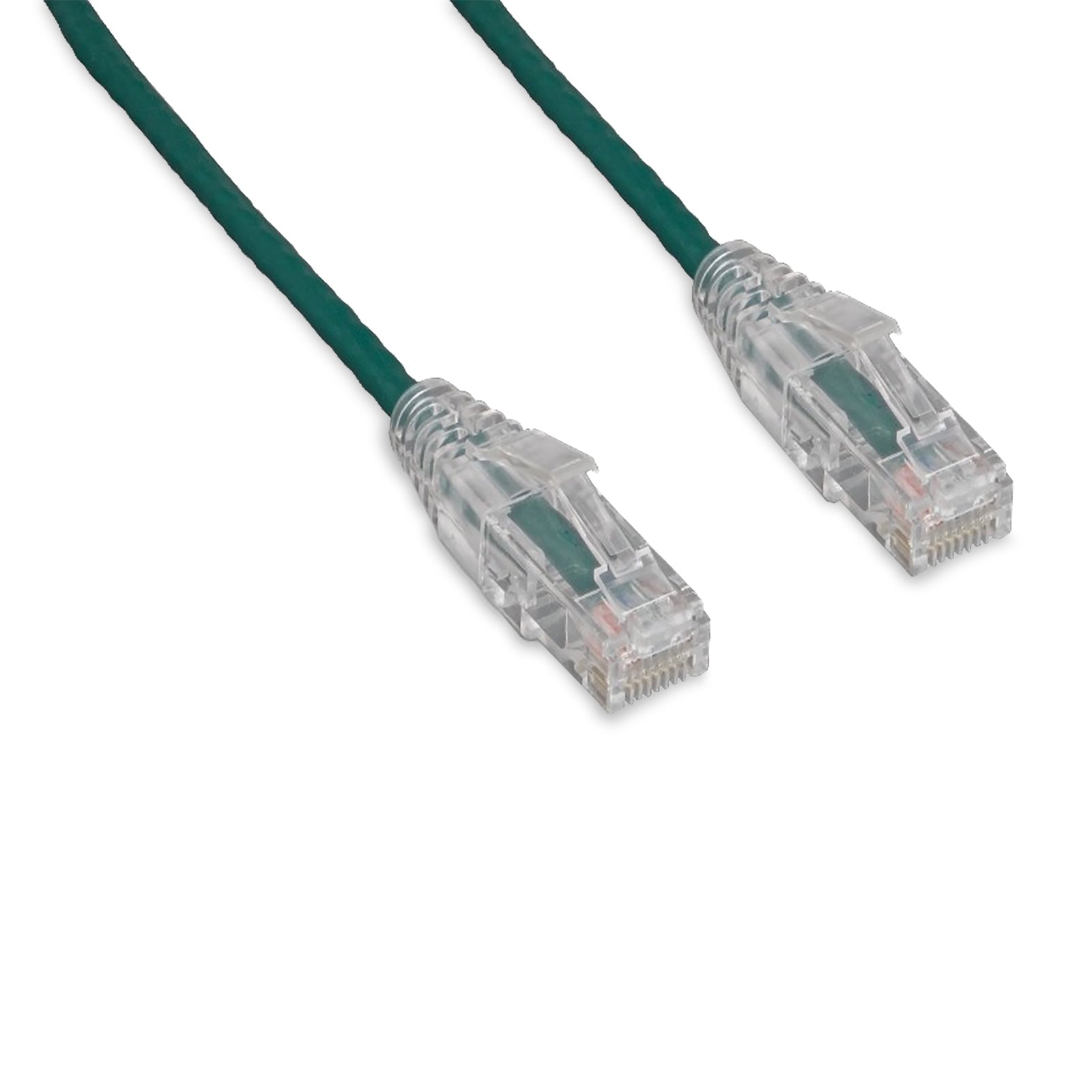 C6-GN-SCB-100-ENC
