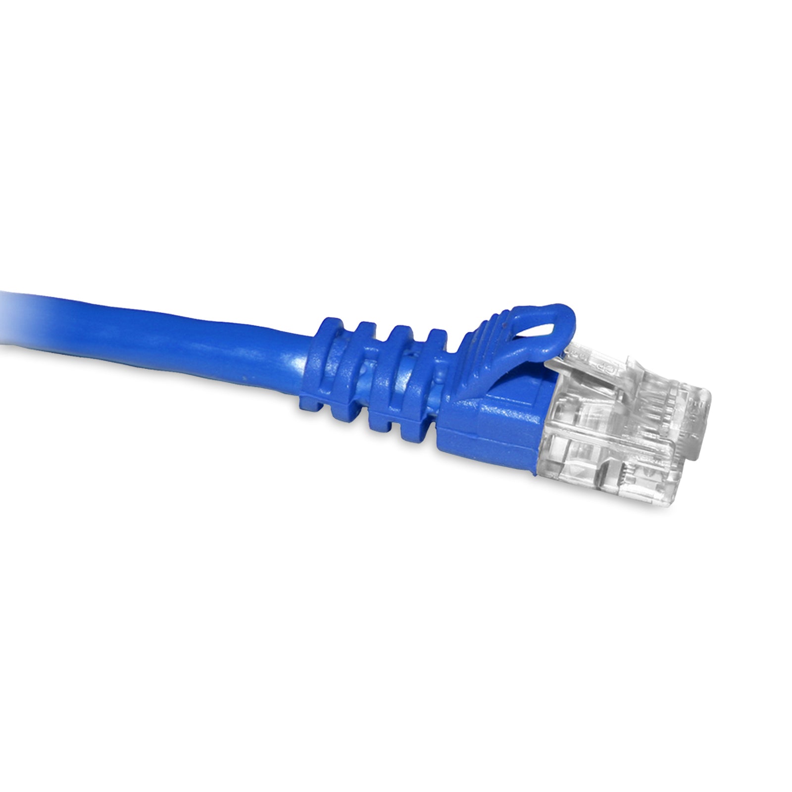 C6A-BL-100-ENC