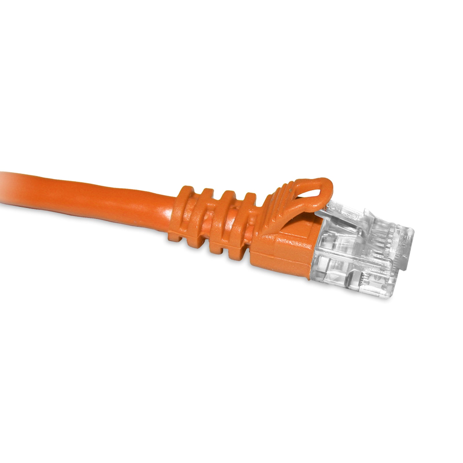 C6-OR-25-ENC